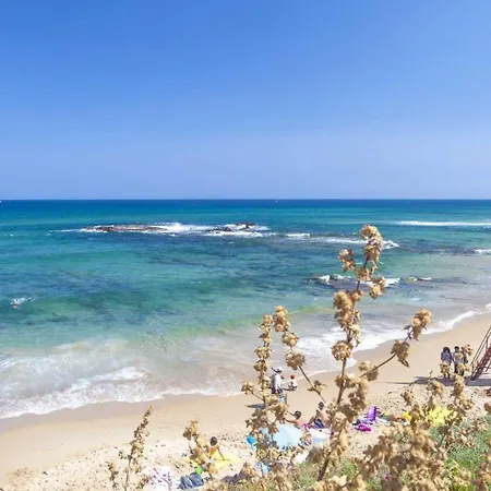 Marci Con Piscina Privata A * Nulvi